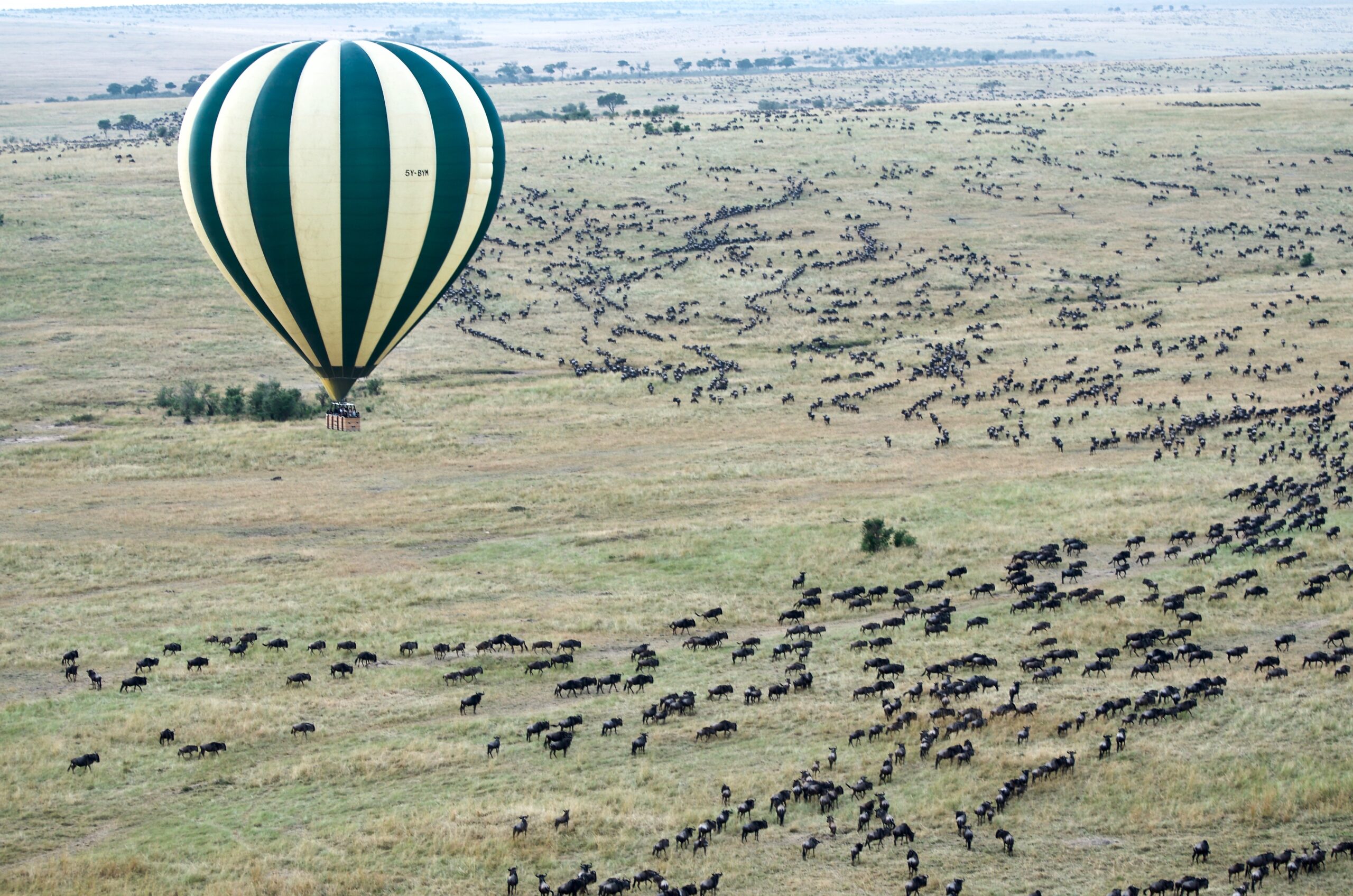 5 DAYS TANZANIA SAFARI - IYAMBI