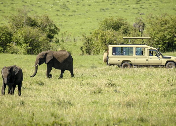 5 DAYS TANZANIA SAFARI - LERAI