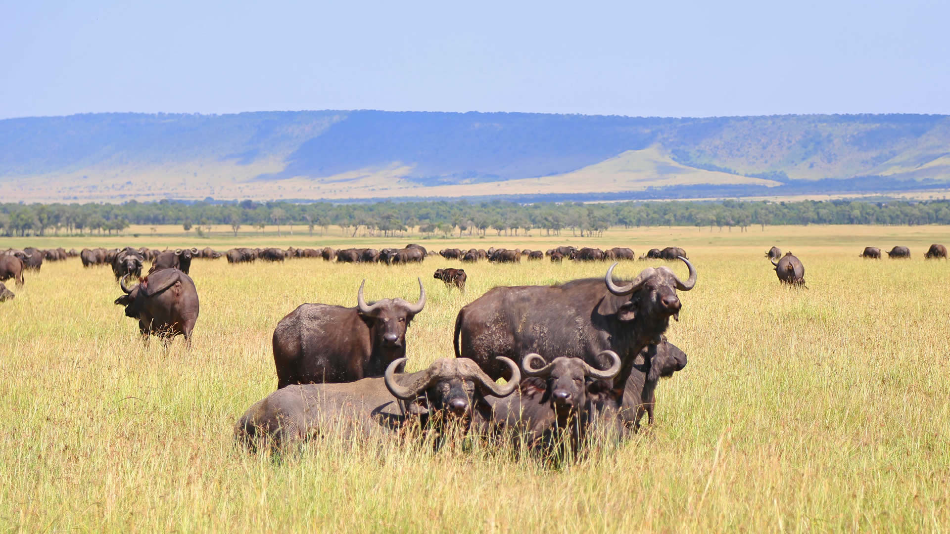 6 DAYS TANZANIA SAFARI - TUMBATU