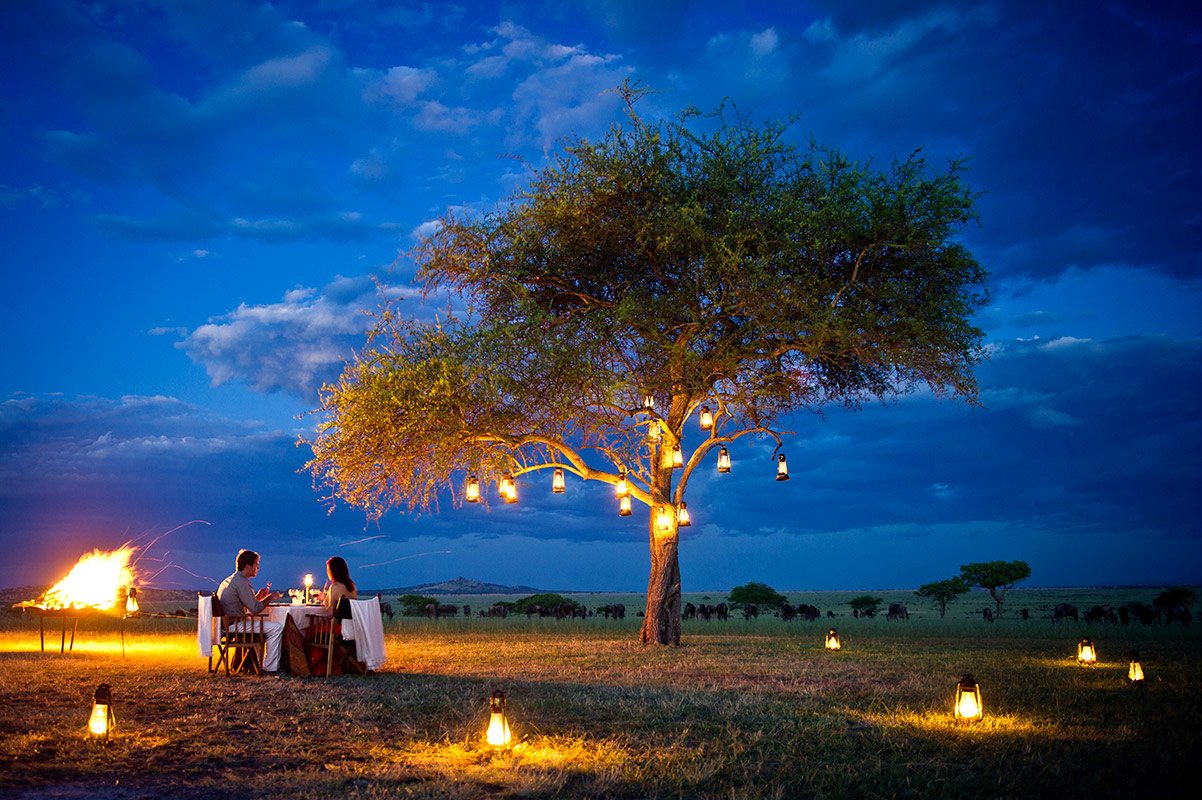 7 DAYS TANZANIA SAFARI - SHAMA
