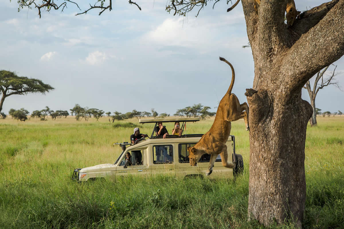 9 DAYS TANZANIA AND SAFARI - MATANDU