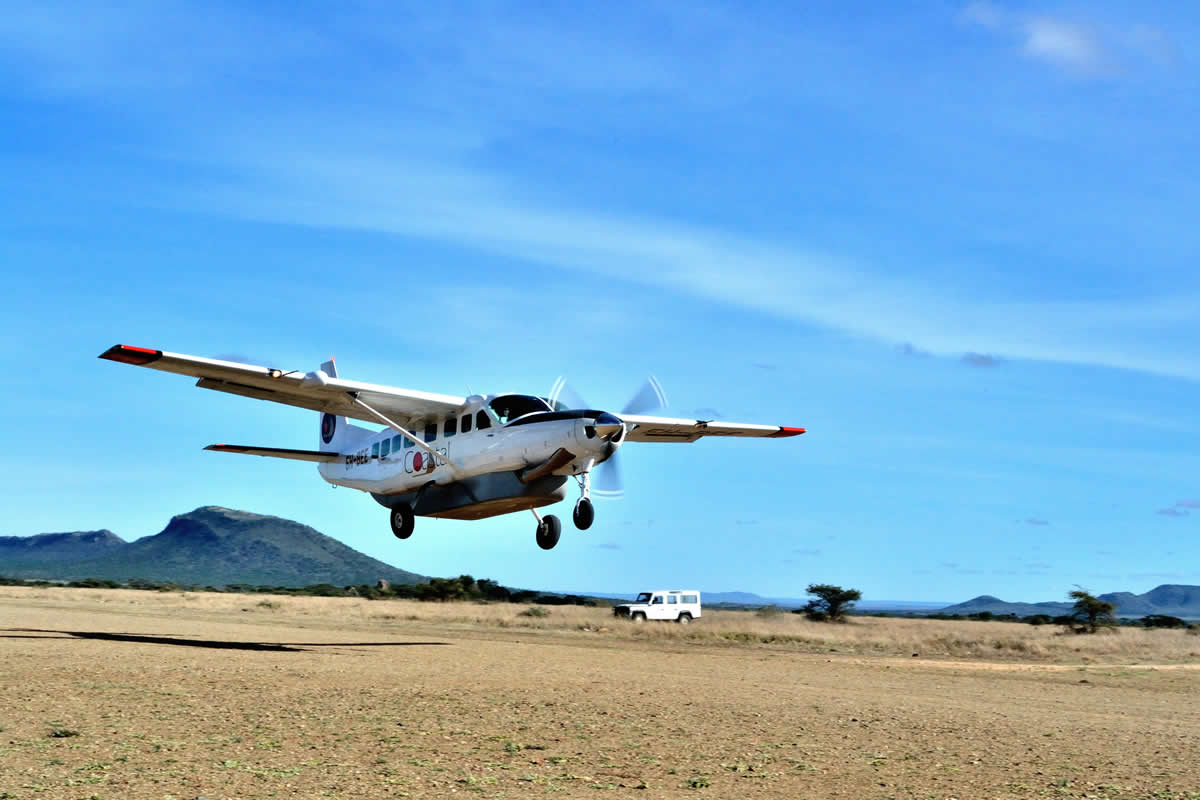 7 DAYS TANZANIA SAFARI - SAGARA