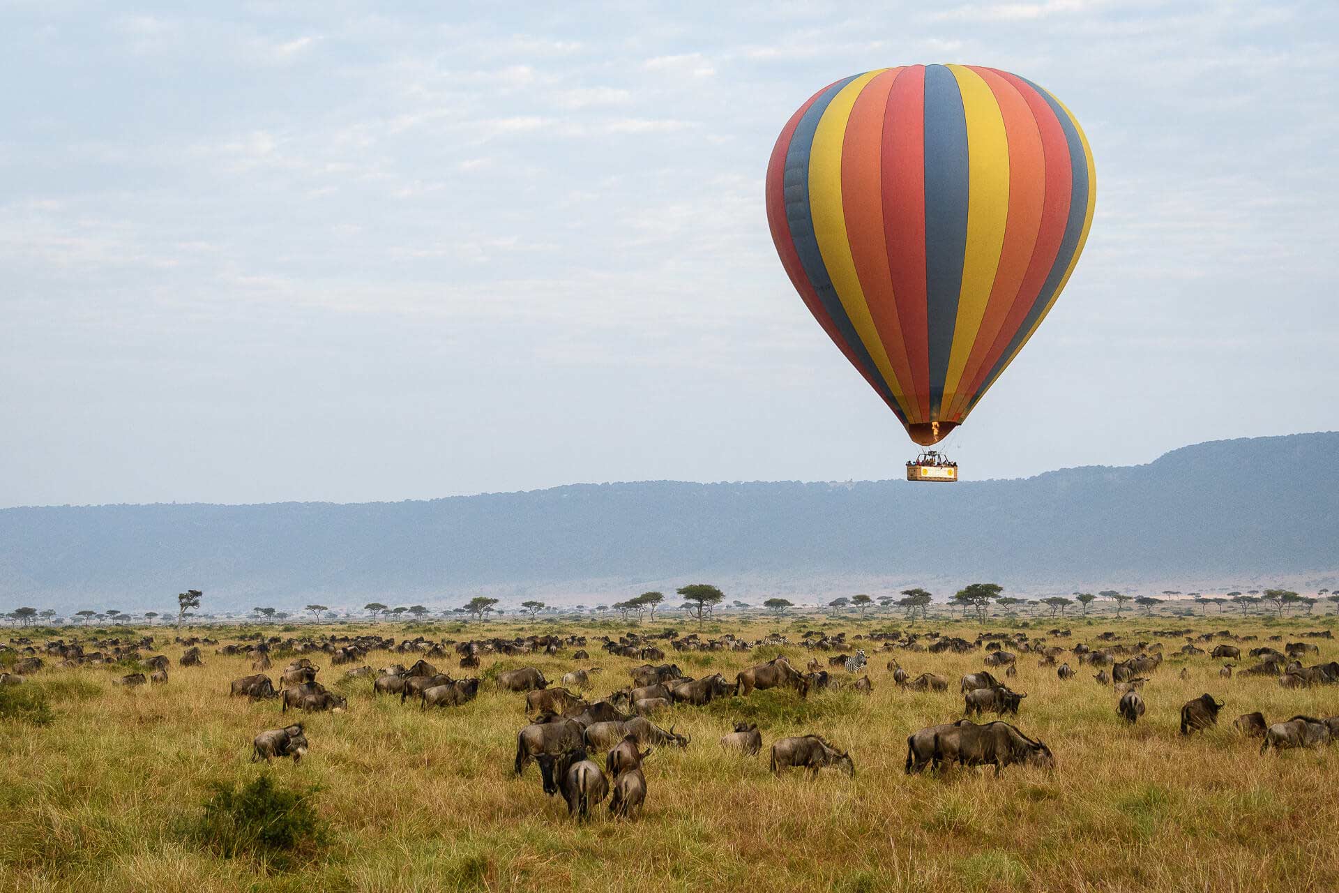 9 DAYS KENYA SAFARI  MBALI